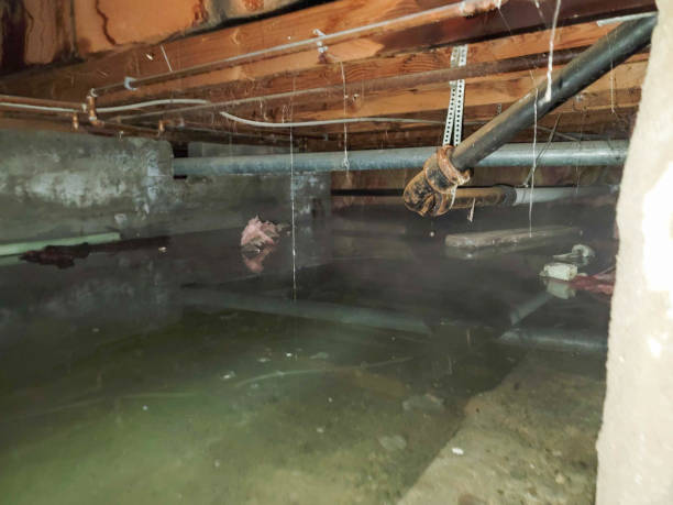Hickory Creek, TX Water damage restoration Company
