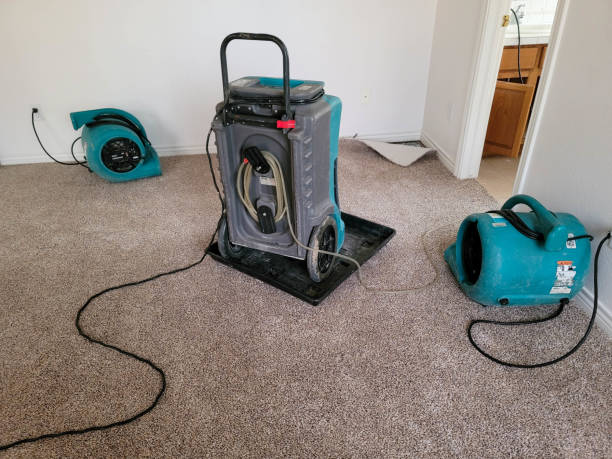 Best Water damage restoration specialists  in Hickory Creek, TX