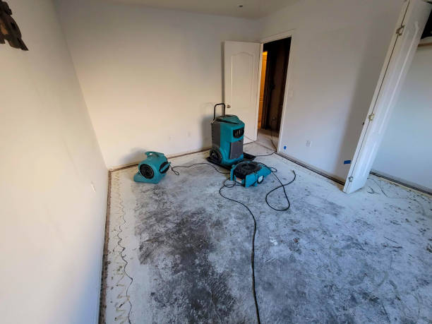 Best 24/7 water damage repair  in Hickory Creek, TX