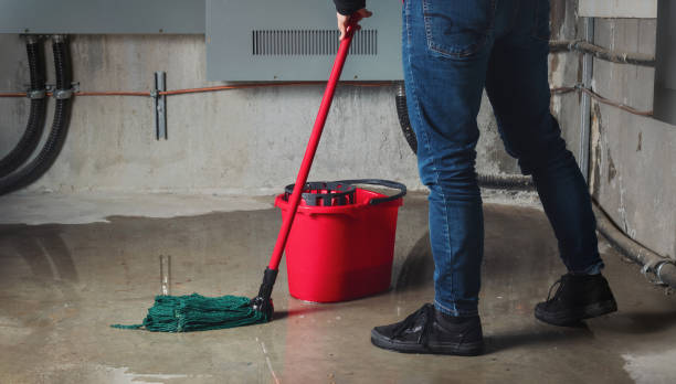 Best Water damage restoration near me  in Hickory Creek, TX