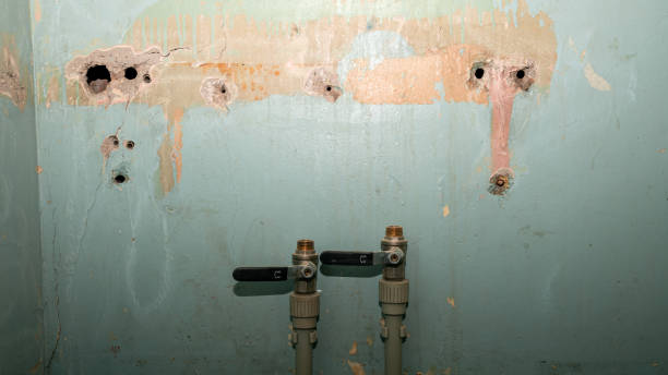 Best Carpet water damage restoration  in Hickory Creek, TX